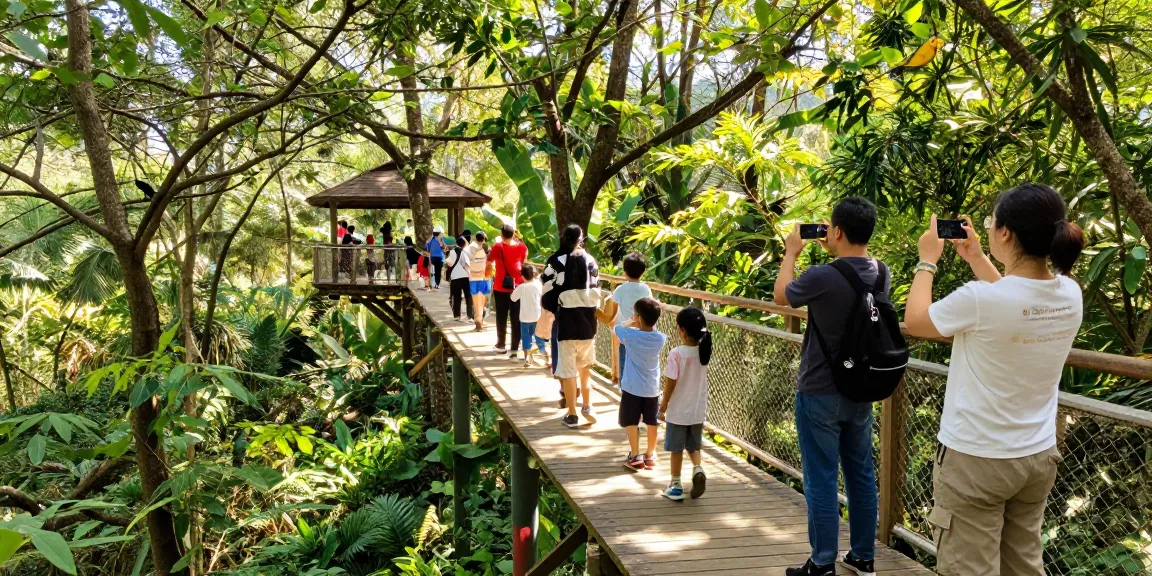 Treetop Walkway with families enjoying nature views and sunlight filtering through lush trees.